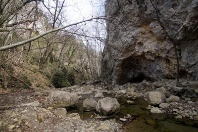 Прикрепленное изображение: A58DSC08150.jpg